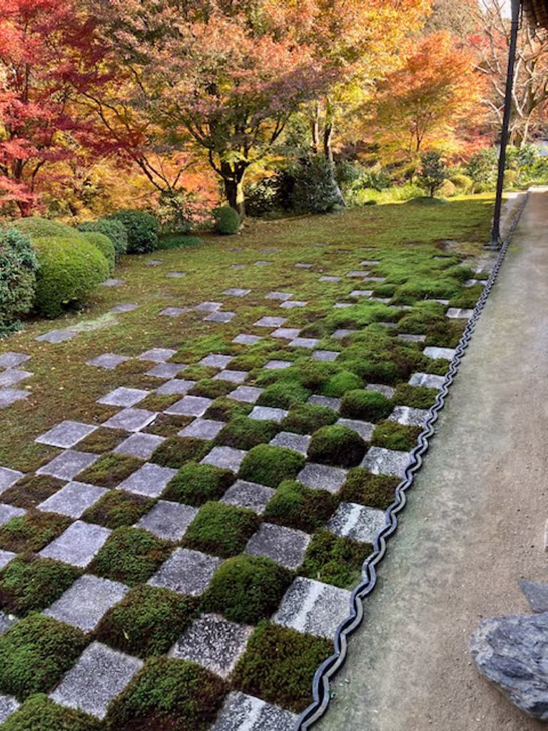 Kyoto Private Tour - Tofukuji Japanese Garden