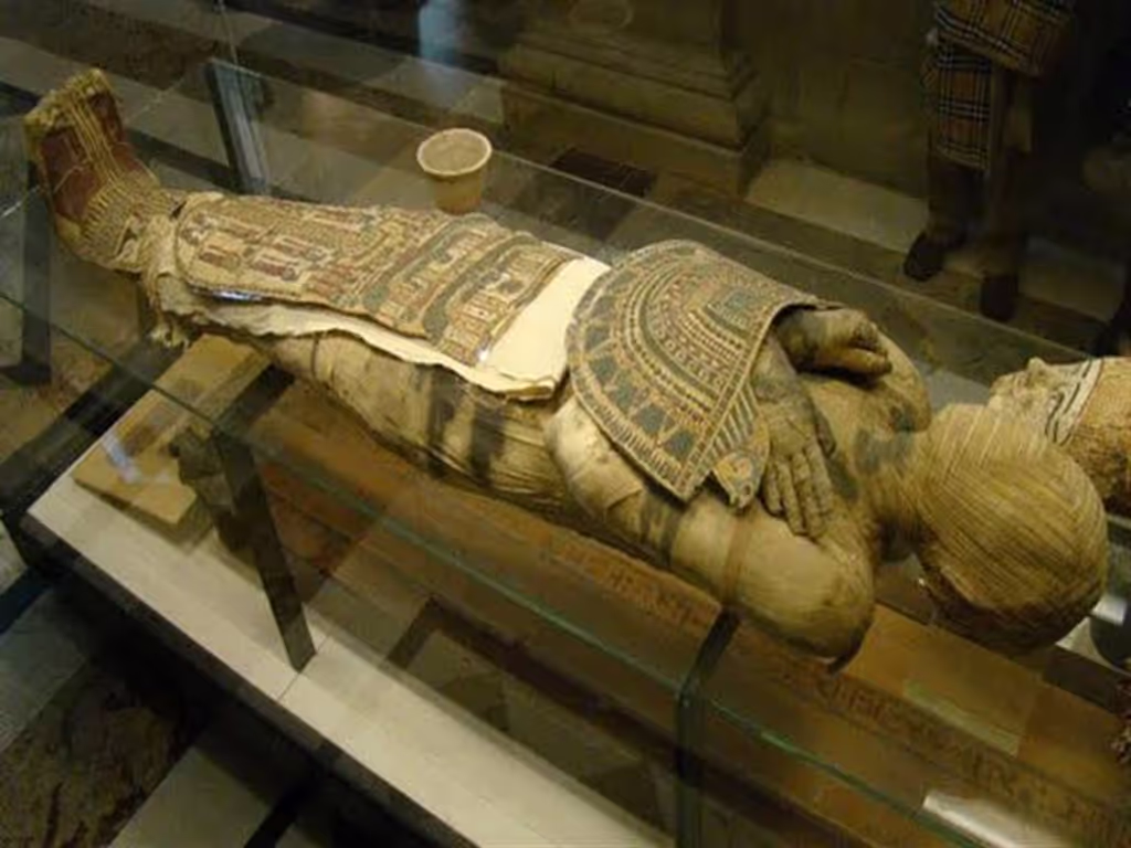 Luxor Private Tour - Mummification Museum
