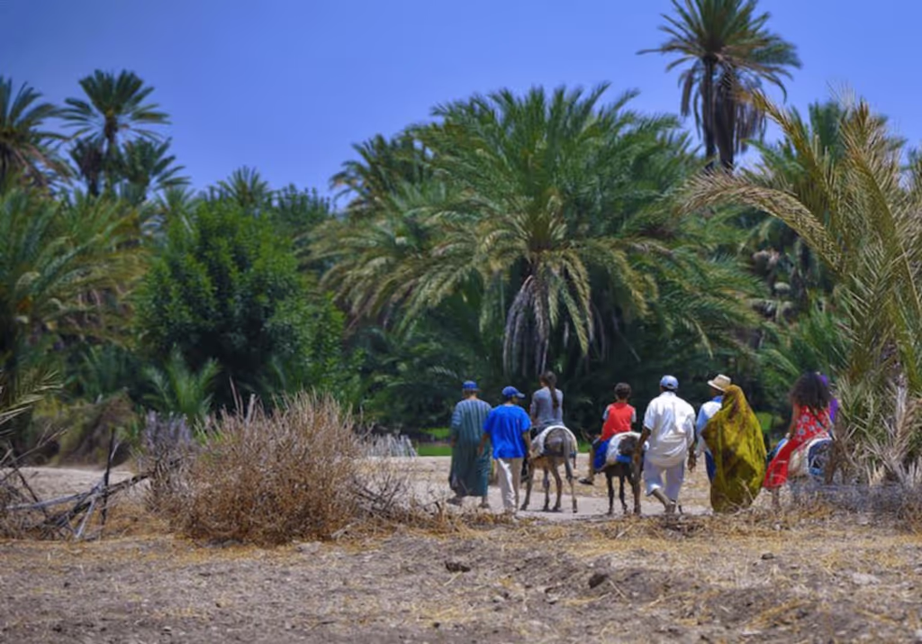 Agadir Private Tour - null