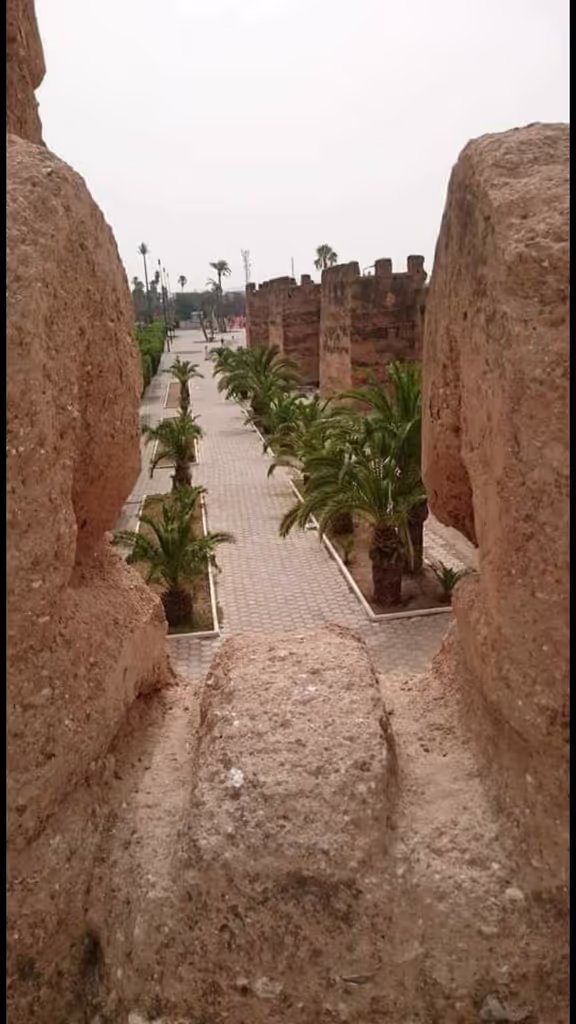 Agadir Private Tour - null