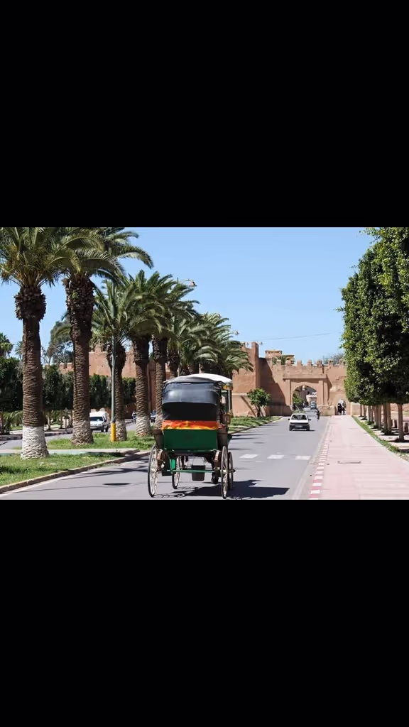 Agadir Private Tour - null