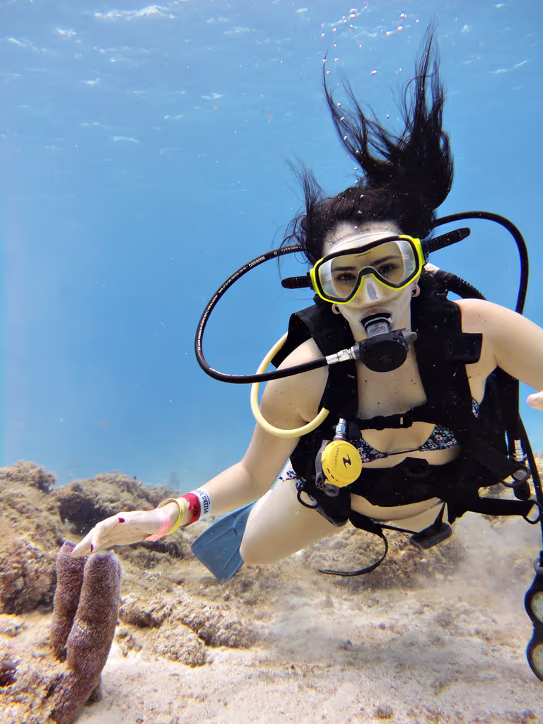 Cozumel Private Tour - For biginers 