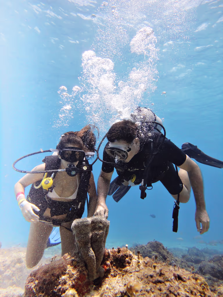 Cozumel Private Tour - Shalow water dive 