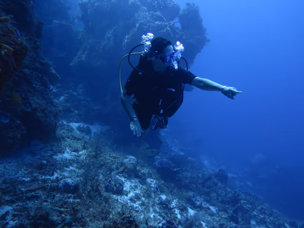 Cozumel Private Tour - Wall dive