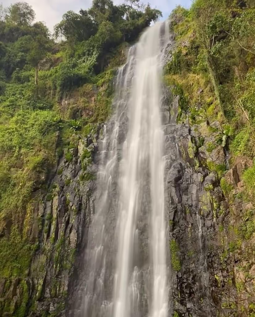 Moshi Private Tour - Materuni Water Falls