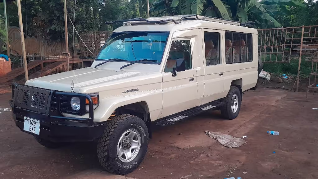 Arusha Private Tour - 4x4 Safari Jeep
