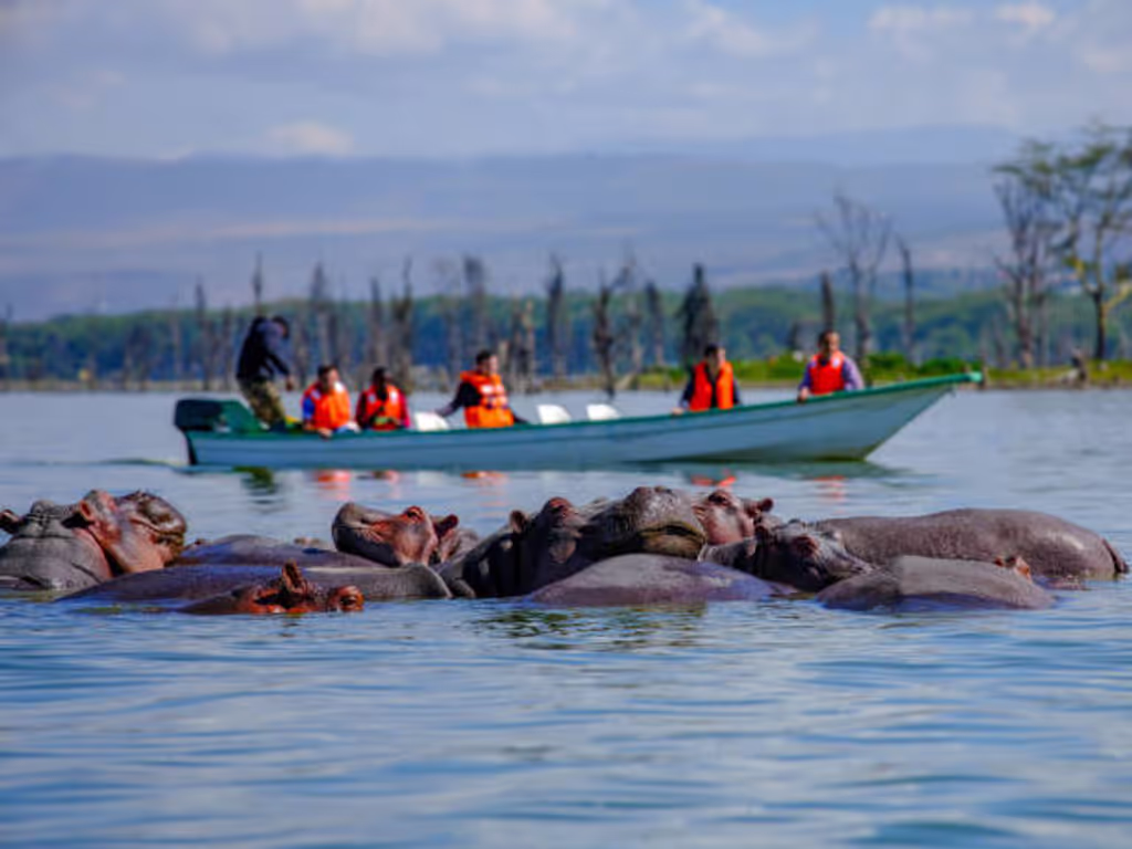Nairobi Private Tour - At Lake Naivasha