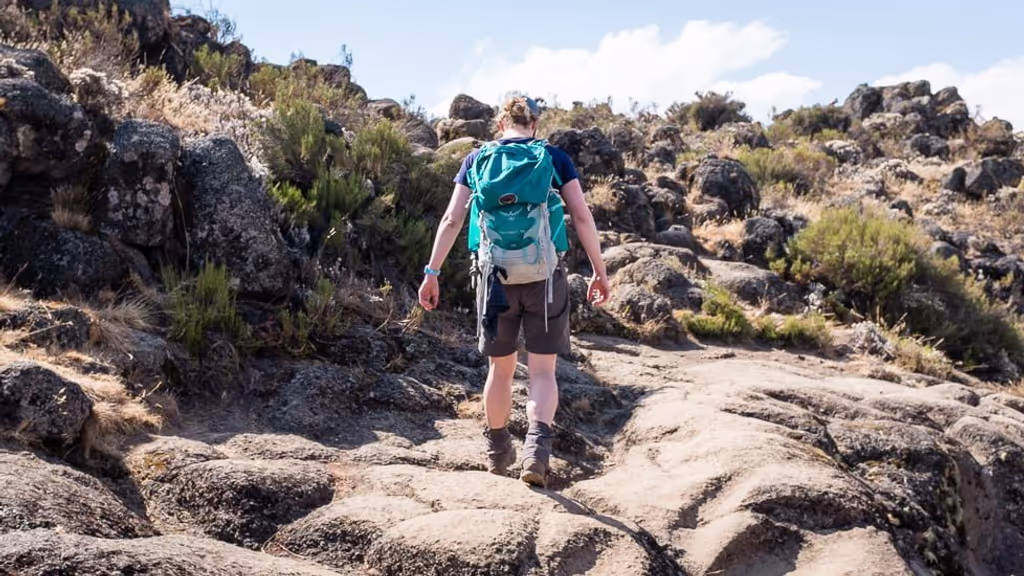 Moshi Private Tour - Shira Route hiking
