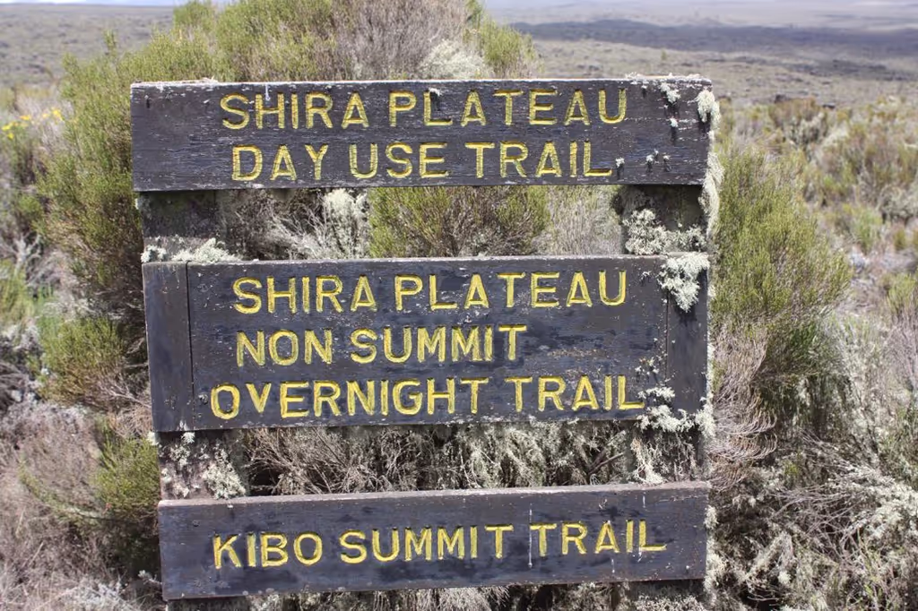 Moshi Private Tour - Shira Route starting Point