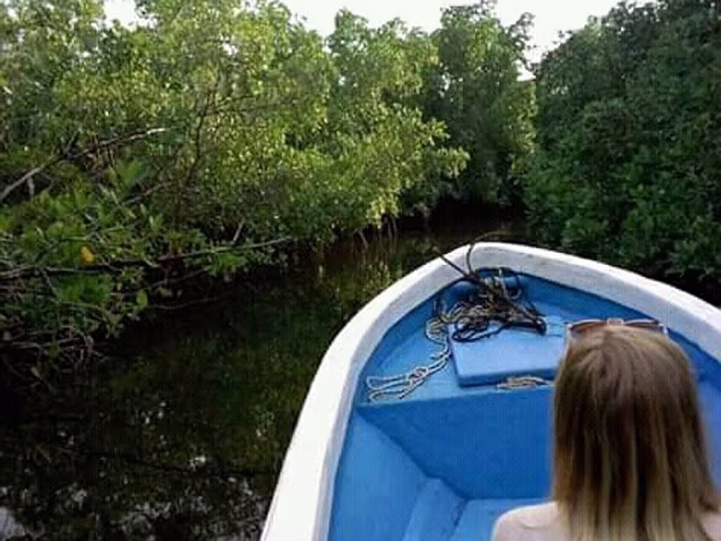 Dakar Private Tour - Boat ride on the Saloum Delta