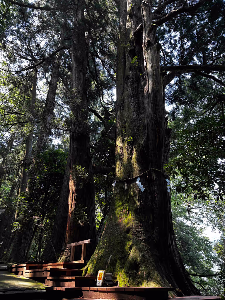 Kanazawa Private Tour - Shirayama Hime Shrine
