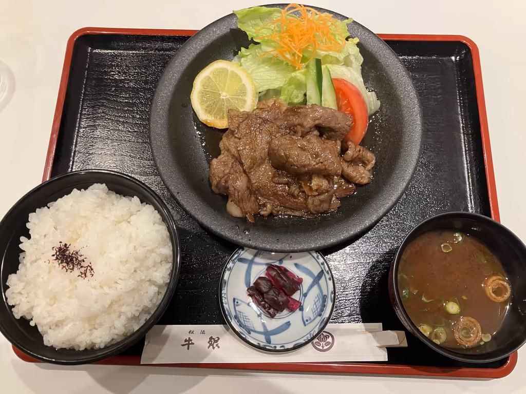 Nagoya Private Tour - Matsusaka Beef Lunch