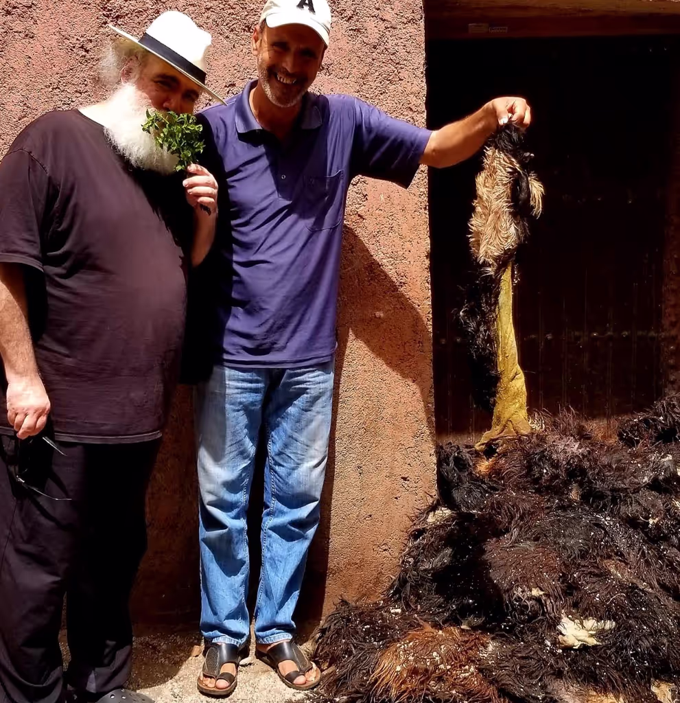 Marrakech Private Tour - 