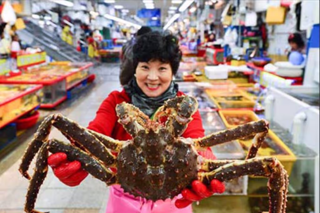 Busan Private Tour - 