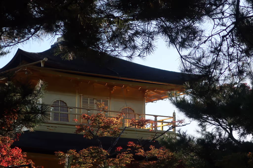 Kyoto Private Tour - 