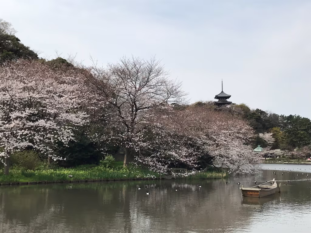 Tokyo Private Tour - 