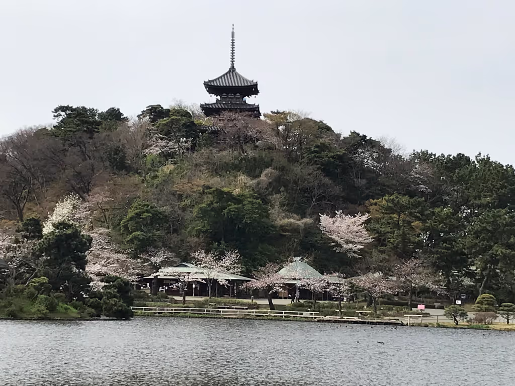 Tokyo Private Tour - 