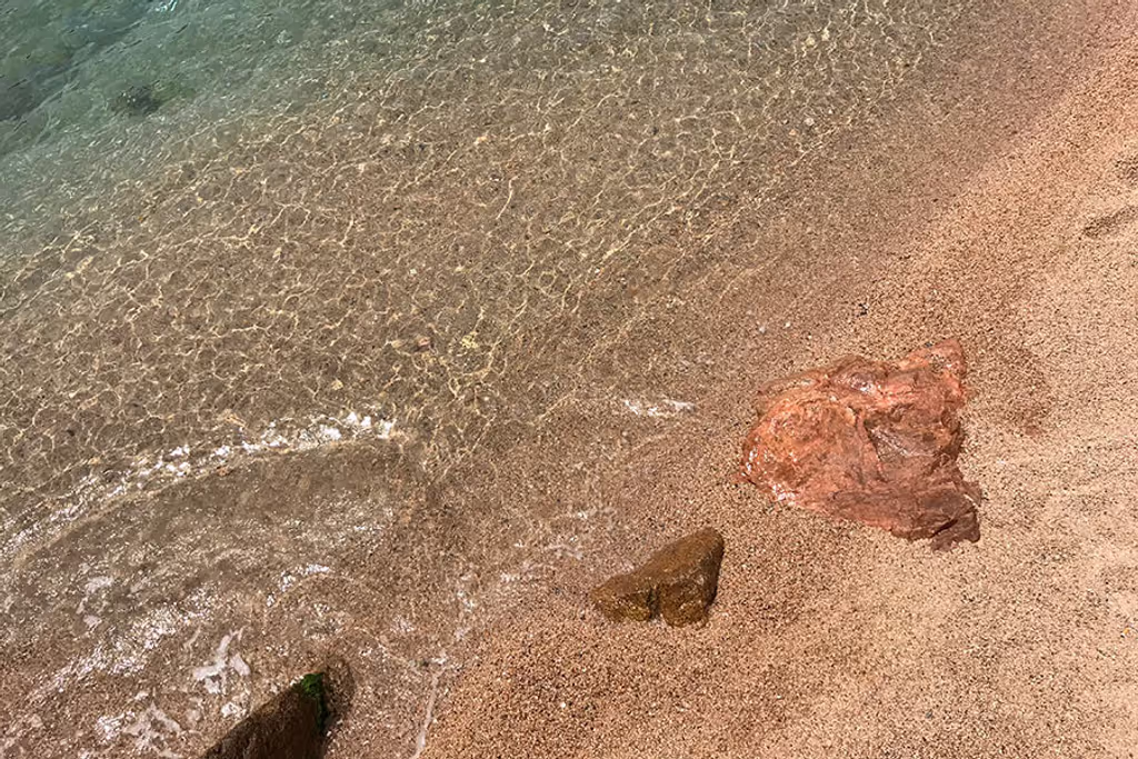Barcelona Private Tour - Beach at Costa Brava