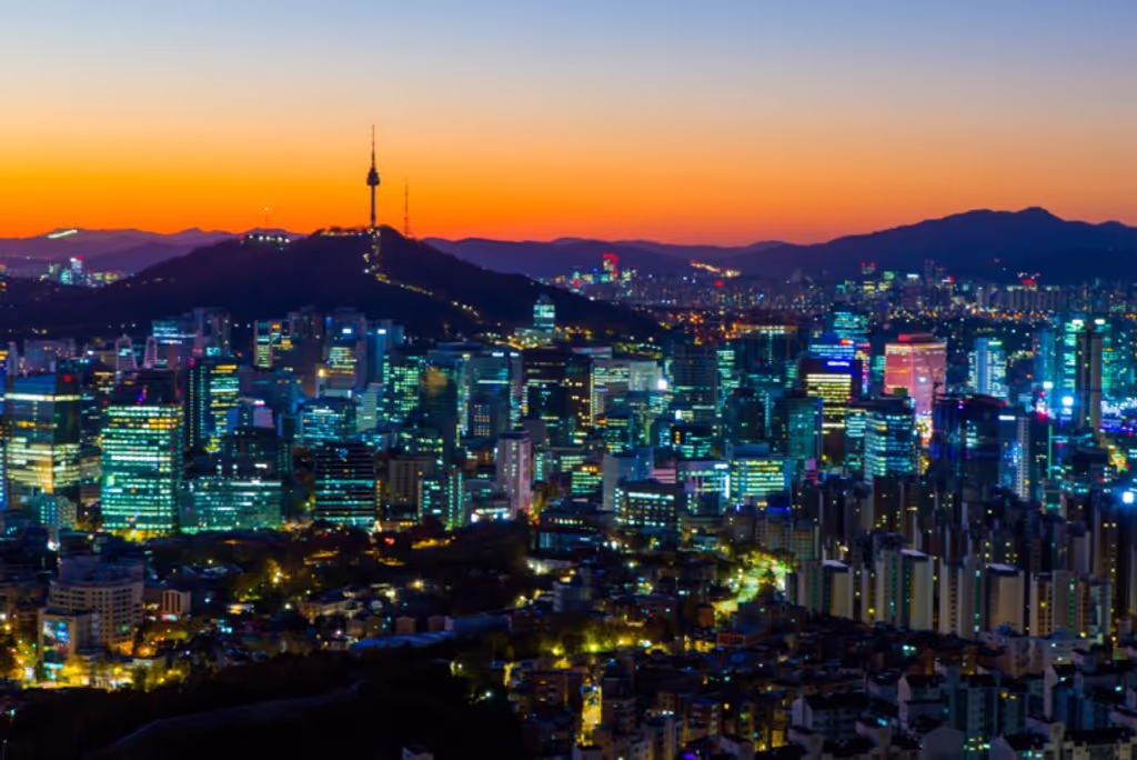 Seoul Private Tour - Citywall in Night