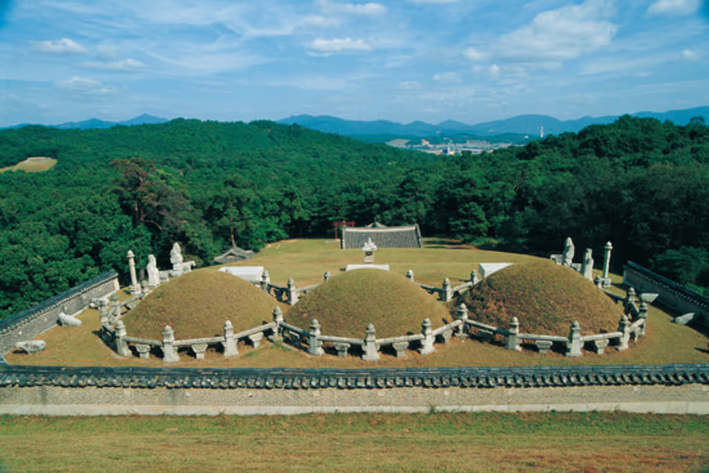Seoul Private Tour - Royal tomb of Joseon dynasty_Unesco heritage