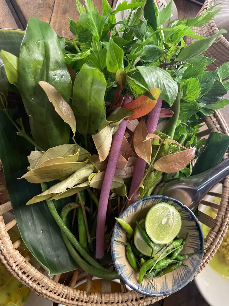 Siem Reap Private Tour - Local vegetable for Khmer rice noodle