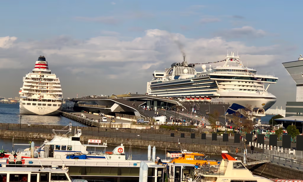 Yokohama Private Tour - Osanbashi Pier