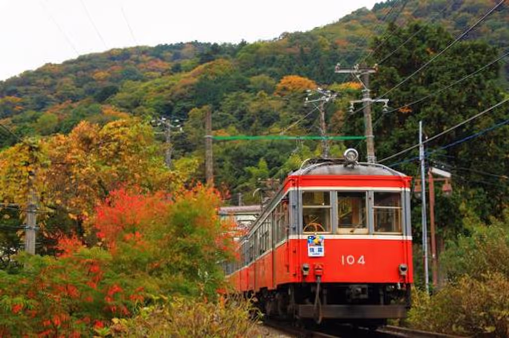 Hakone Private Tour - Mountain climbing railway