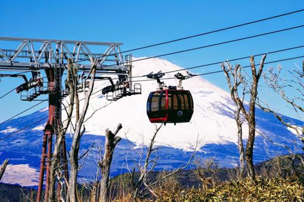Hakone Private Tour - Mt. Fuji & gondola