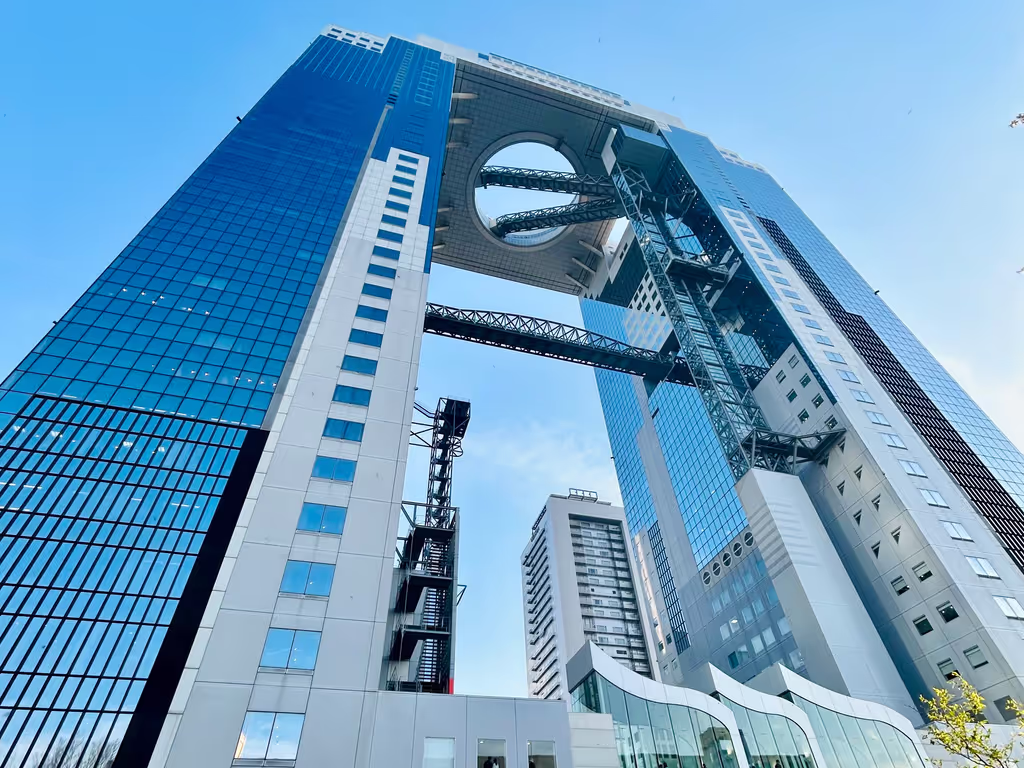 Osaka Private Tour - Umeda Sky Building