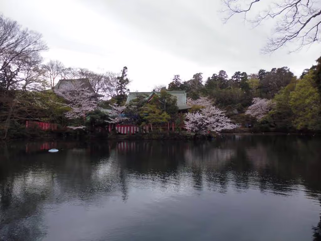 Tokyo Private Tour - This photo was taken in Inokashira Park. Inokashira literally means the source of well water in that water from here was drawn into the center of Edo(now Tokyo) and utilized as drinking water for residents of Edo.  