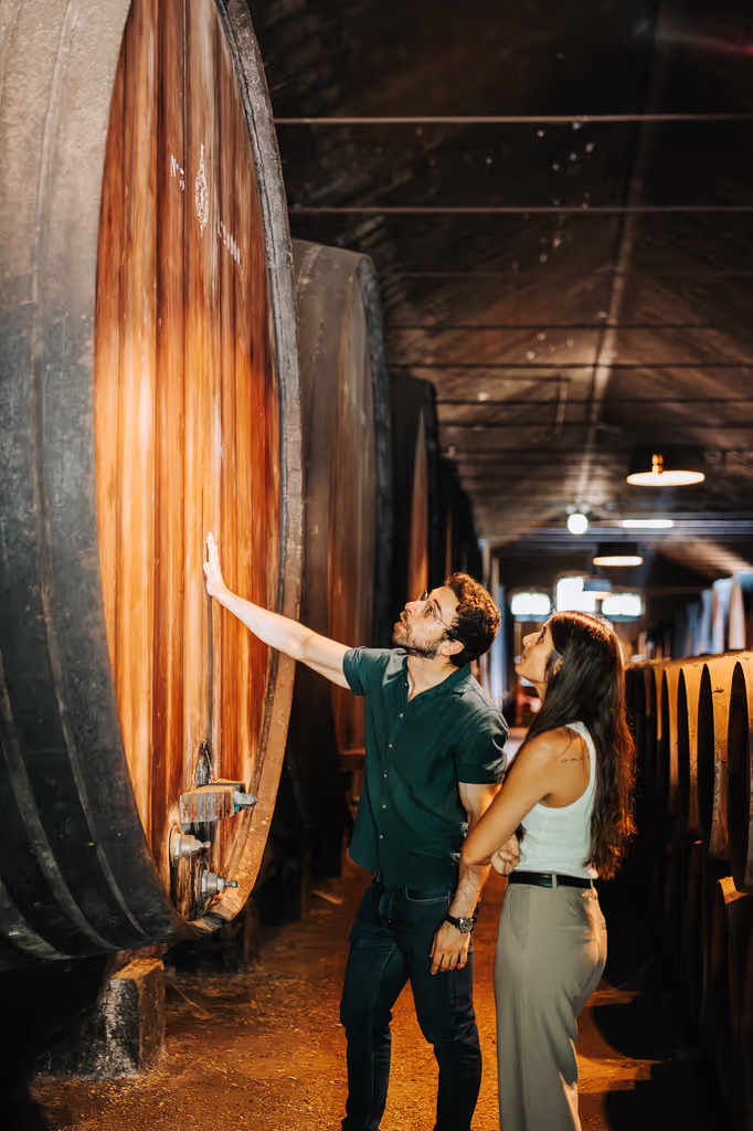 Lisbon Private Tour - Azeitao local winecellar