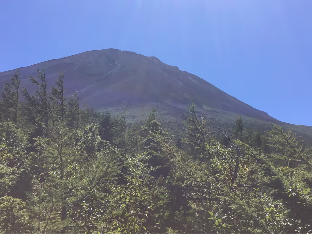 Mount Fuji Private Tour - 