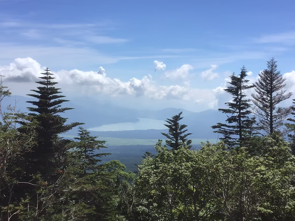 Mount Fuji Private Tour - 