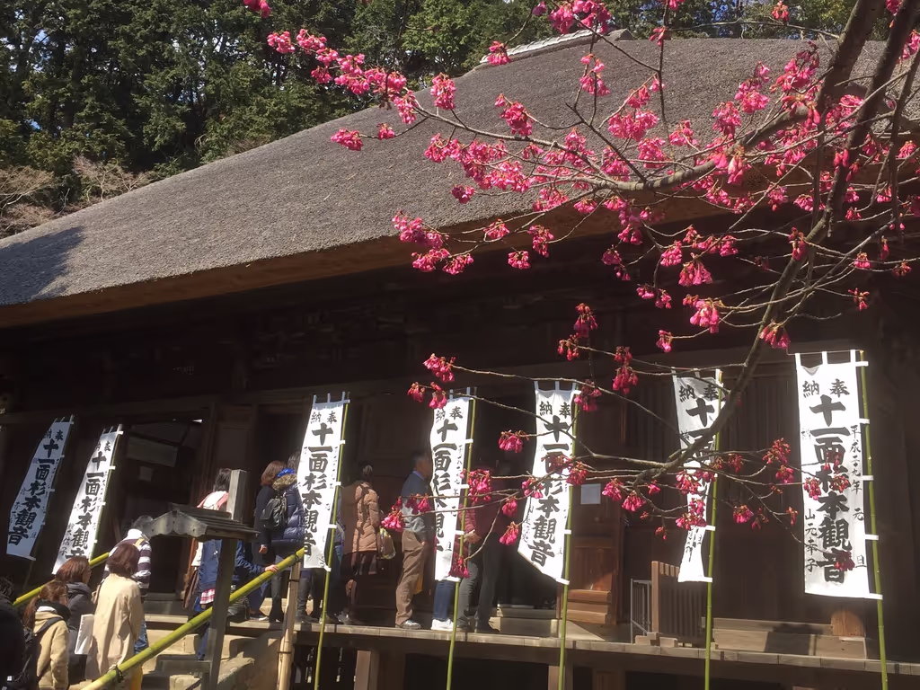 Kamakura Private Tour - Sugimotodera Temple