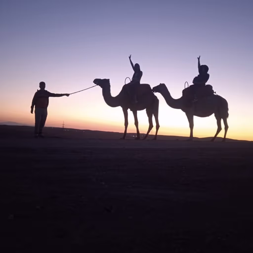 Marrakech Private Tour - Agafay Desert Sunset Camel Ride