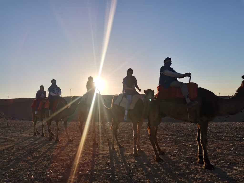 Marrakech Private Tour - Agafay Desert Sunset Camel Ride