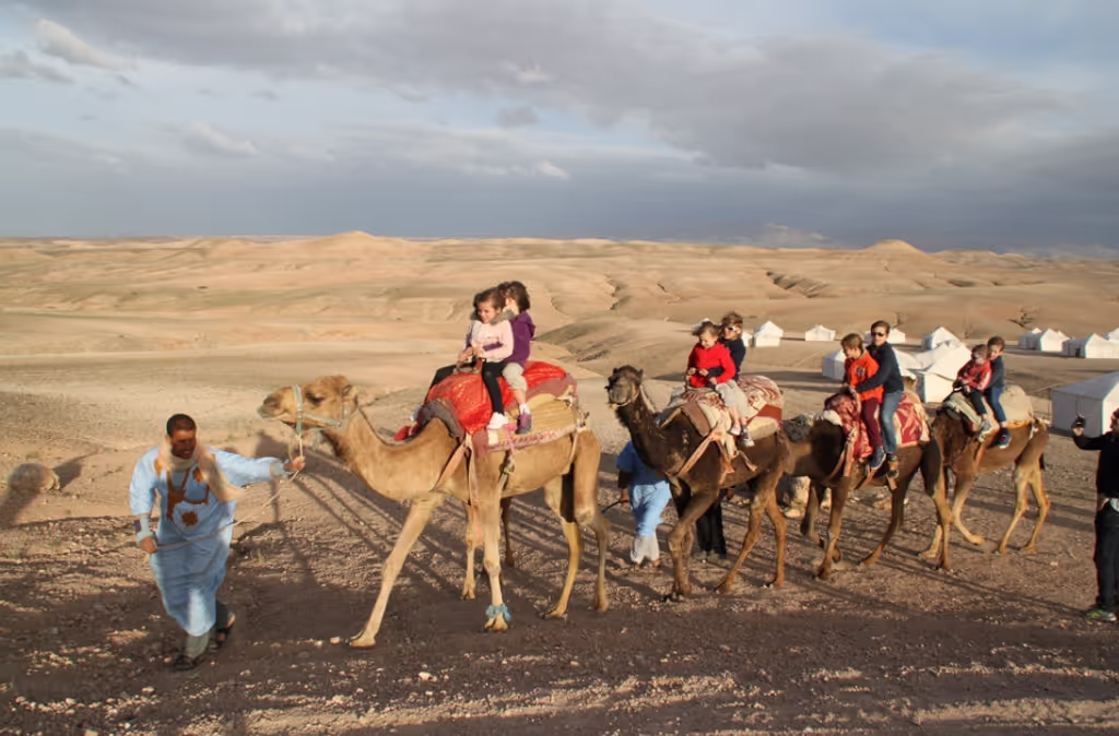Marrakech Private Tour - Agafay Desert Sunset Camel Ride