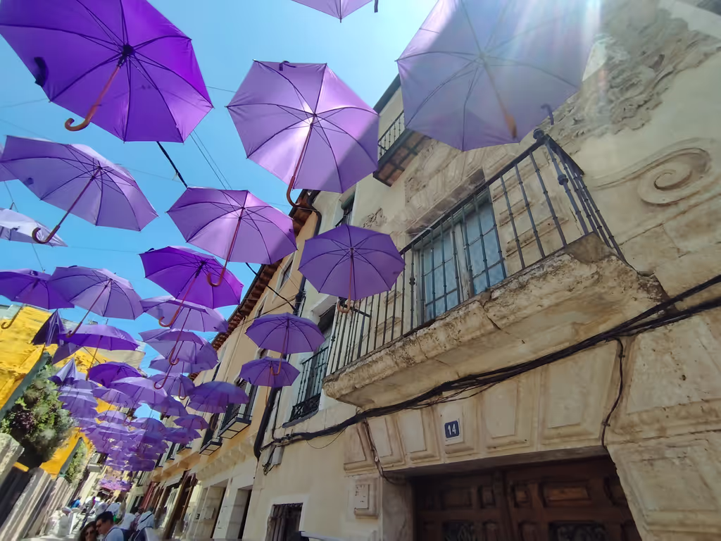 Castilla-La Mancha Private Tour - Brihuega