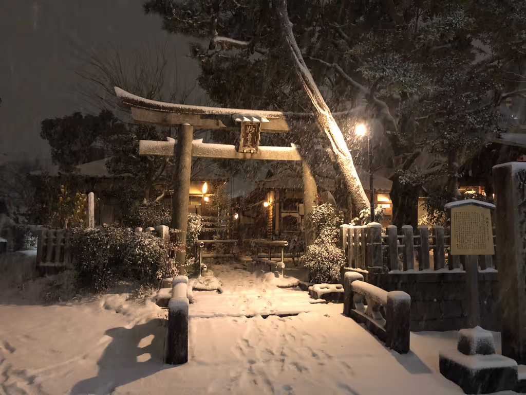 Kyoto Private Tour - Kyoto in winter