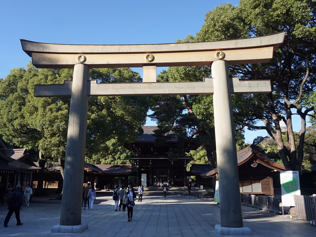 Tokyo Private Tour - Torii gate in Meiji shrine