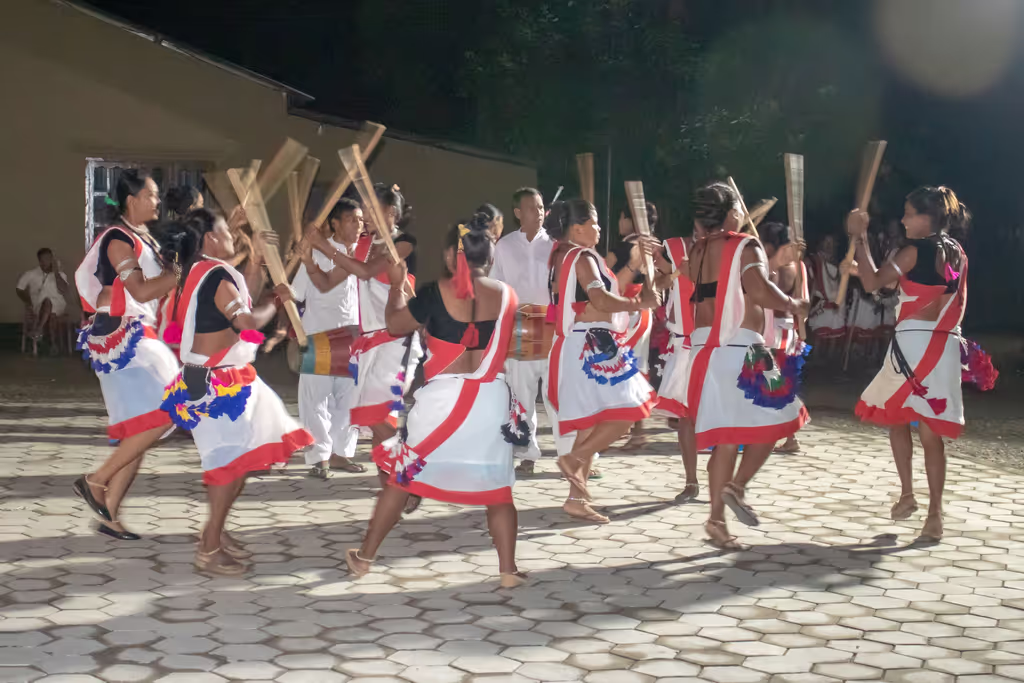 Kathmandu Private Tour - Tharu Cultural Show
