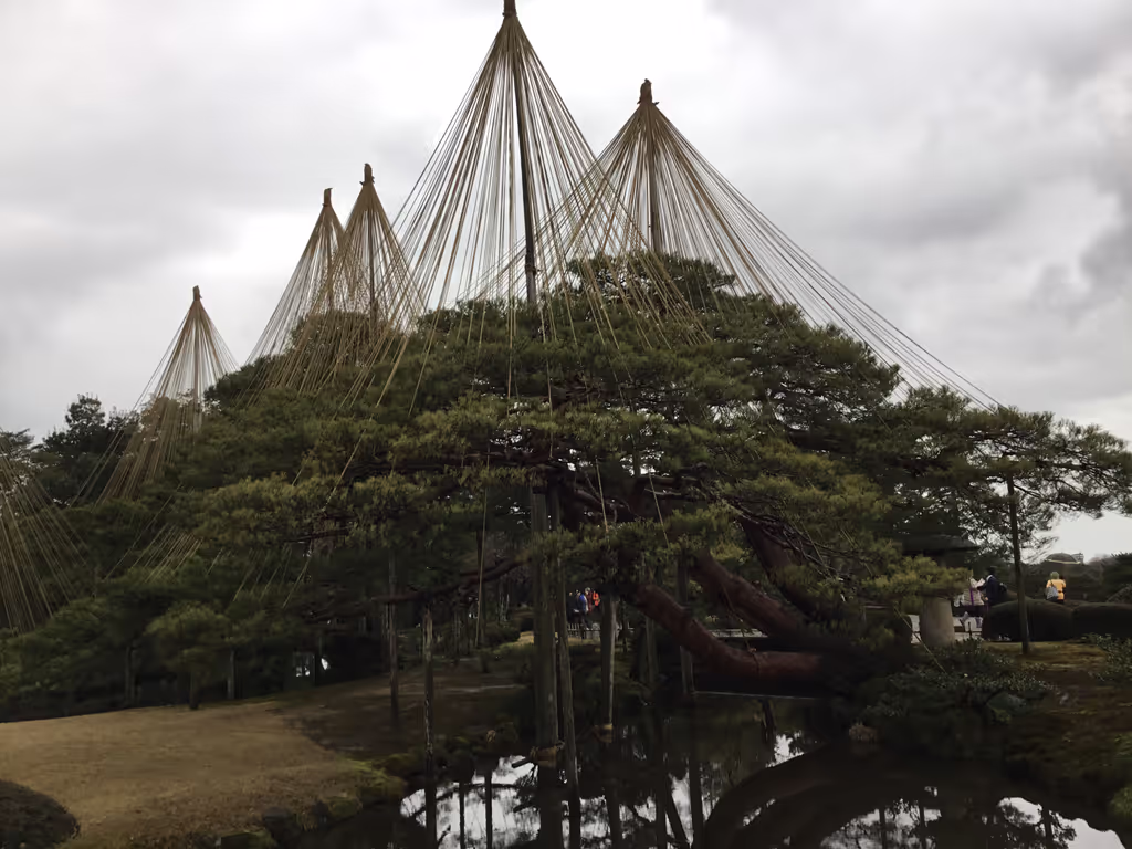 Kanazawa Private Tour - Kenrokuen Karamatsu Pine tree with Yukitsuri