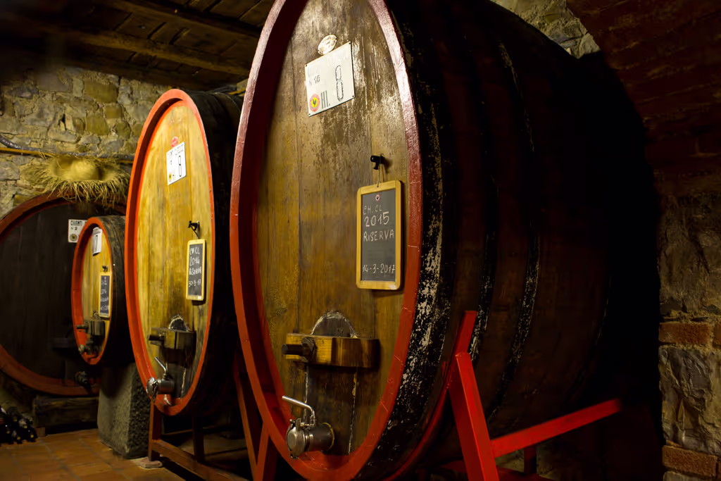 Florence Private Tour - 