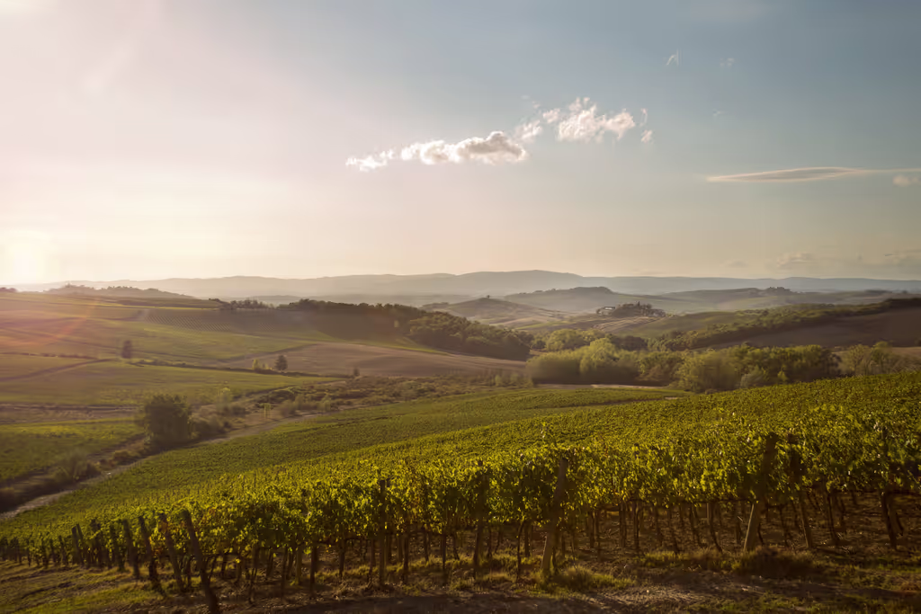 Florence Private Tour - 