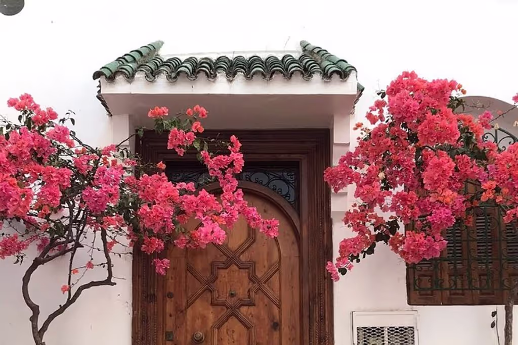 Tangier Private Tour - Traditinal door