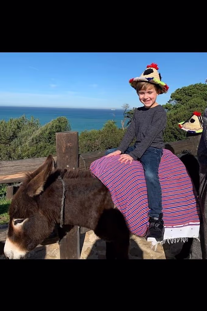 Tangier Private Tour - Lovely donkey