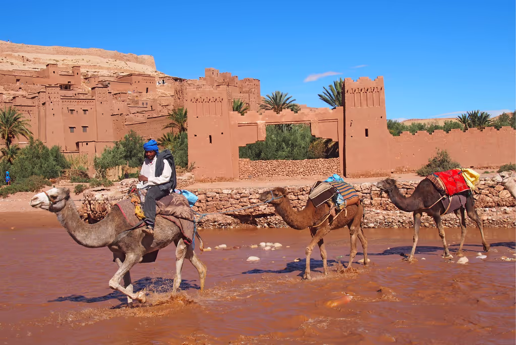 Marrakech Private Tour - Kasbah Ait Ben Hadou