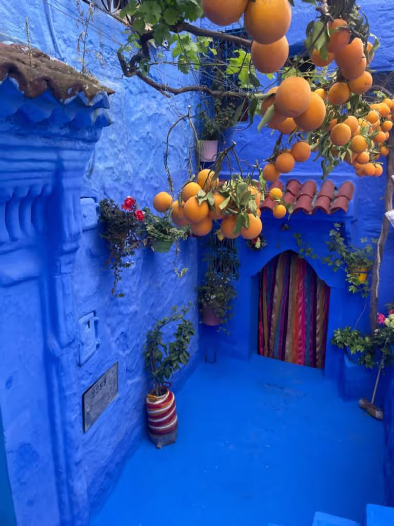 Fes Private Tour - House