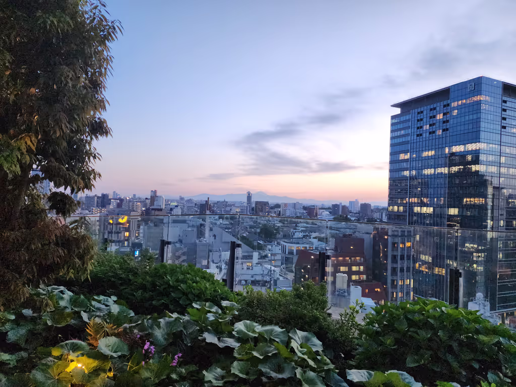 Tokyo Private Tour - Rare view of Mt. Fuji from Shibuya Parco