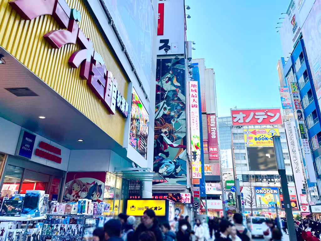 Tokyo Private Tour - Akihabara Electric town